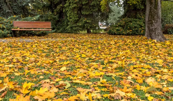 Lavička v podzimním parku — Stock fotografie