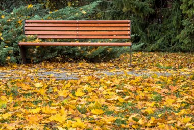 Sonbahar parkında tezgah.