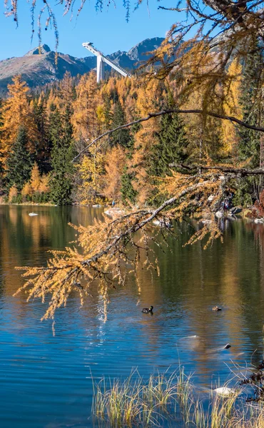 Outono em Strbske Pleso, Eslováquia — Fotografia de Stock