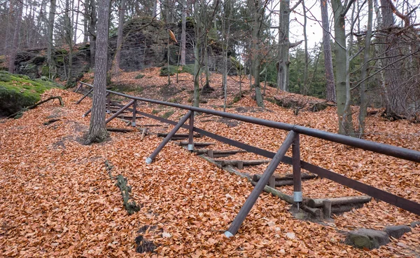 Stairs in autumn wood — Stock Photo, Image