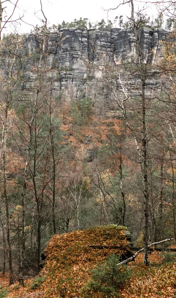 Őszi erdő: Bohemian Switzerland — Stock Fotó