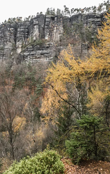 Herbstwald in der böhmischen Schweiz — Stockfoto