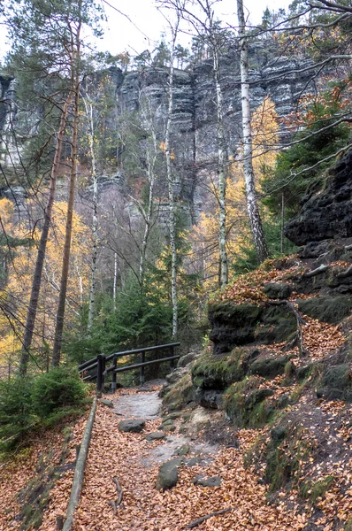 Floresta de outono na Boêmia Suíça — Fotografia de Stock