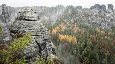 Sakson İsviçre, Almanya