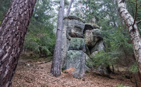 Stone formation at Czech switzerland — Stock Photo, Image