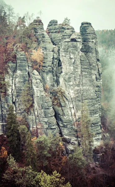 Saxon Switzerland, Alemanha — Fotografia de Stock