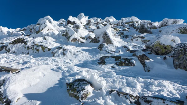 Hill Chopok à Low Tatras, Slovaquie — Photo