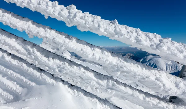 Frozen fence, Slovakia — Stock Photo, Image