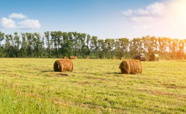Harvesting hay bales on a sunny summer day.