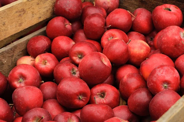 Grupo de maçãs vermelhas em uma caixa de madeira — Fotografia de Stock