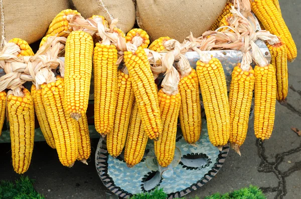 Mazorca de maíz con bolsas llenas cerca — Foto de Stock
