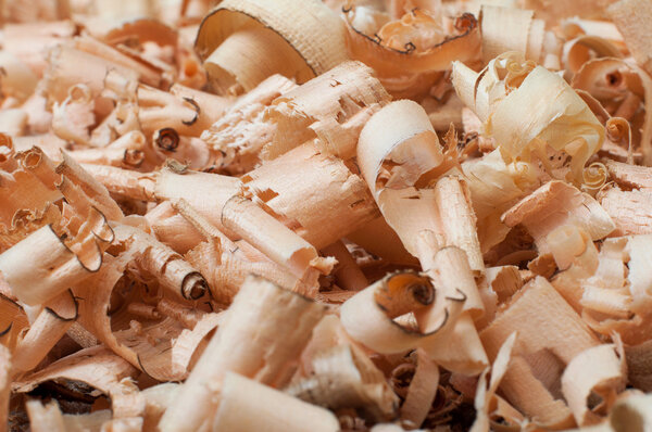 Texture of wood chips