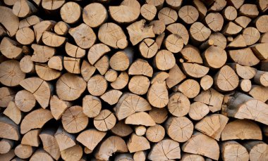 Stack of wood prepared for winter clipart