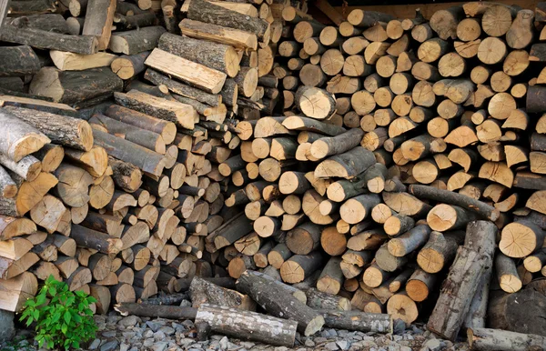 Kışa hazırlanan odun yığını