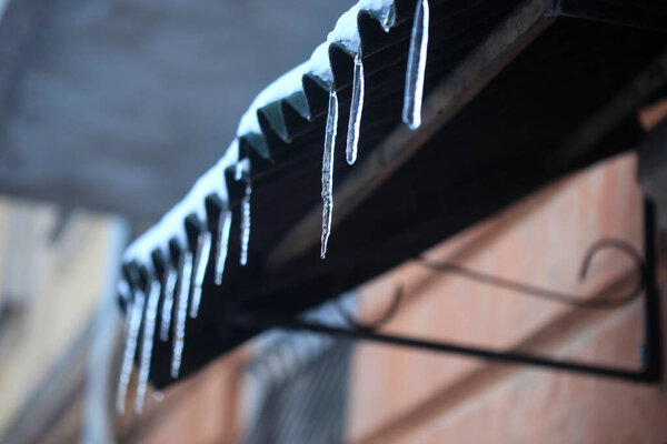 Icicles in winter season under roof