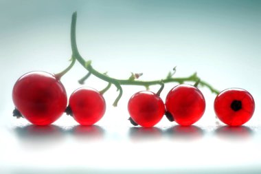 Hafif arkaplanda kırmızı üzümler