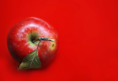 Kırmızı kırmızı elma