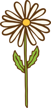 Yeşil Kökle Beyaz Daisy 'nin İllüstrasyonu