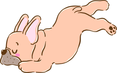 Sevimli ve komik derp Fransız Bulldog: 