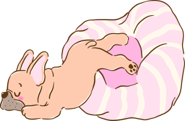 Evde uyuyan sevimli Fransız Bulldog Çalışması Pembe Yataklı Çizgi Film El Çizimi