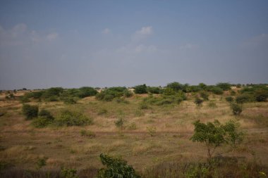 Muhteşem mavi gökyüzü olan yeşil alan çok güzel görünüyor..