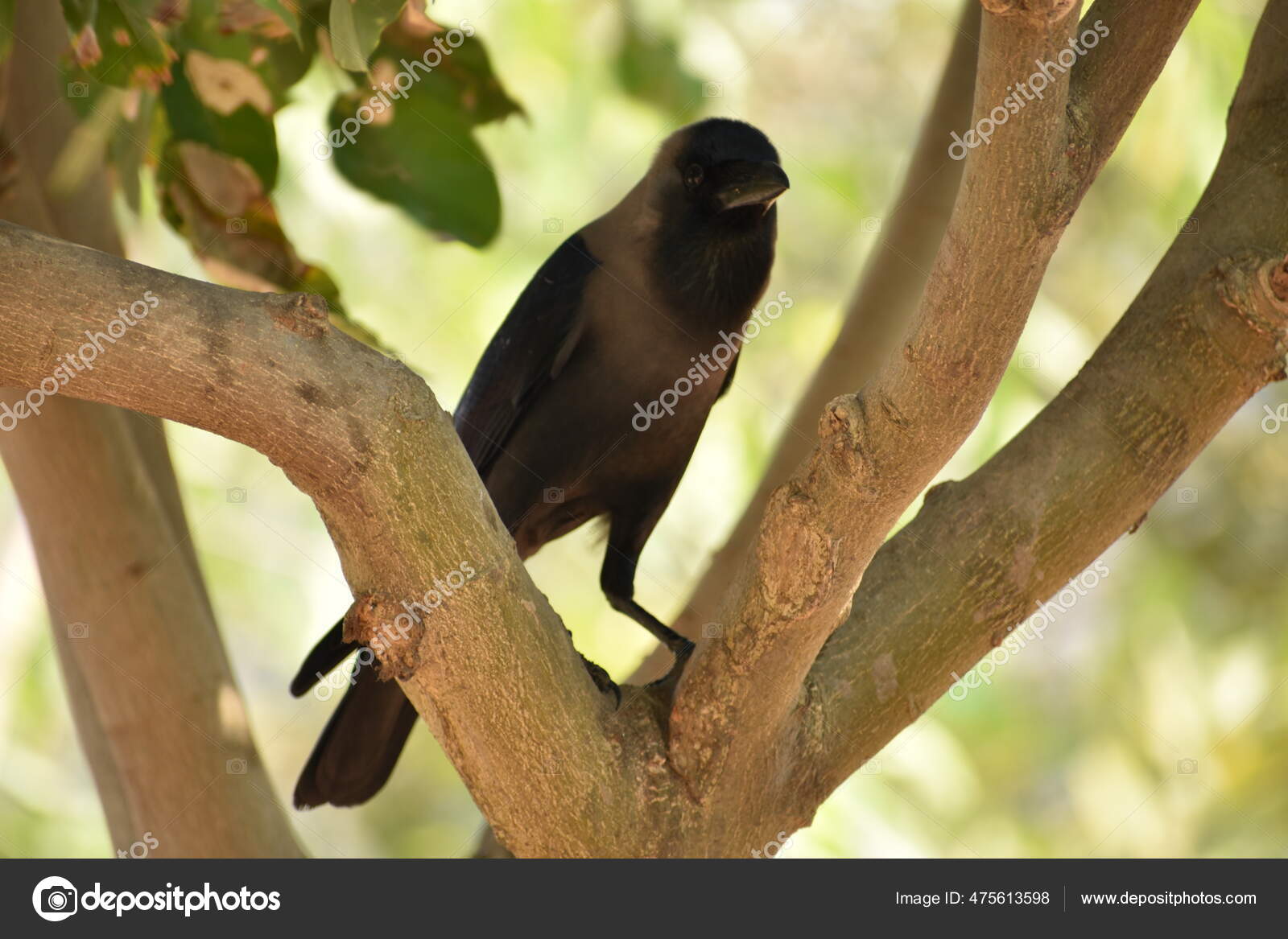 cultura 23 maio 06.pmd - Centro de Estudos Africanos da ..., image size:1600x1167
