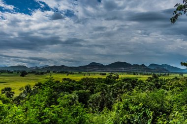 Yeşil bir yamaçtaki ağaçlar, dağların tepesinde çalılarla kaplı. Gün batımında birkaç bulut ve sıcak bir yaz akşamı..