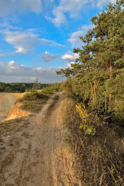 Zand steengroeve vroeg in de herfst. — Stockfoto