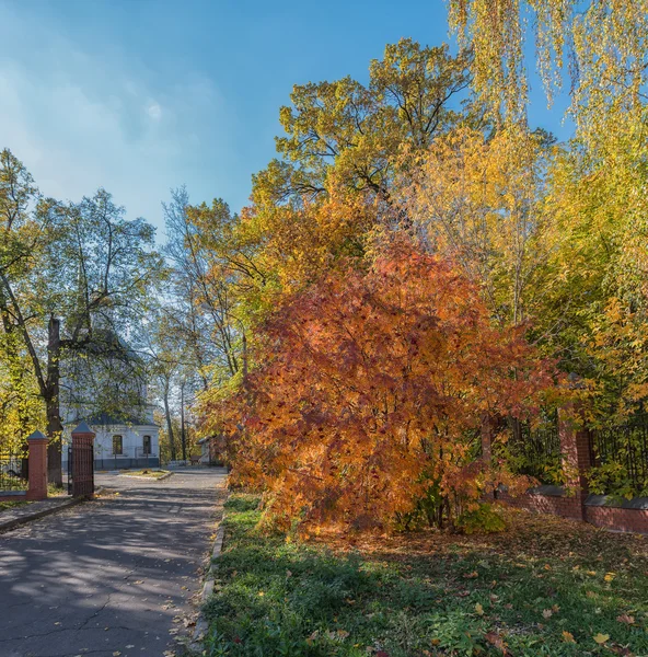 Automne doré en banlieue . — Photo