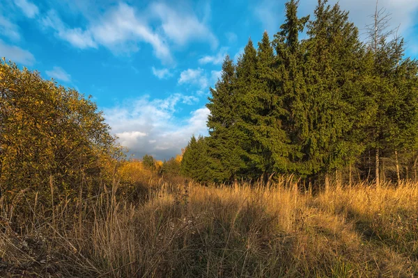 Otoño dorado en los suburbios . —  Fotos de Stock