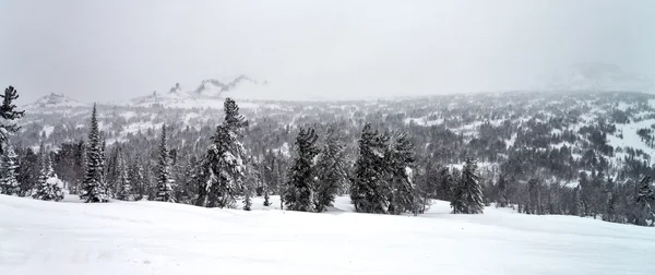 スキー リゾート sheregesh、ケメロヴォ地域、ロシア. — ストック写真