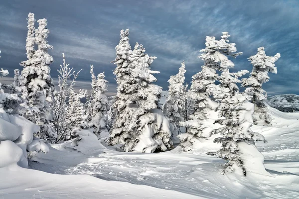 Ski resort Sheregesh, Kemerovo region, Russia. — Stock Photo, Image