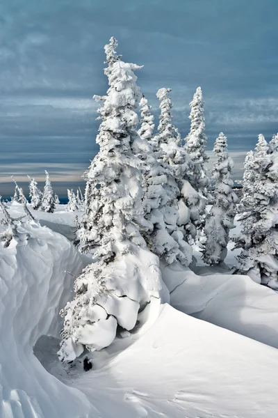 Ski resort sheregesh, kemerovo bölgesi, Rusya Federasyonu. — Stok fotoğraf