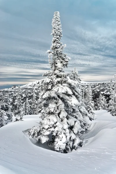 Ski resort sheregesh, kemerovo region, Ryssland. — Stockfoto