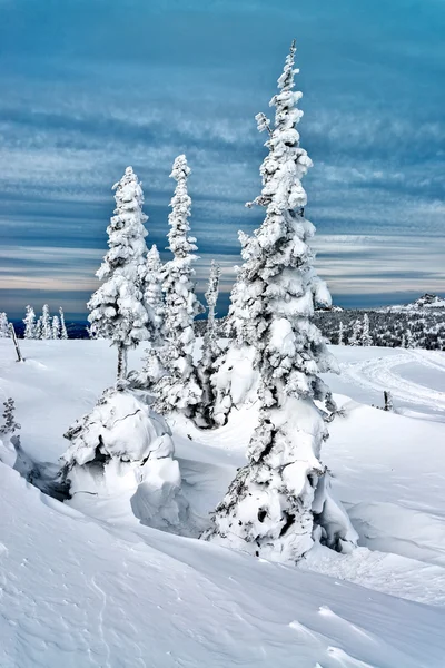 Ski resort sheregesh, kemerovo bölgesi, Rusya Federasyonu. — Stok fotoğraf