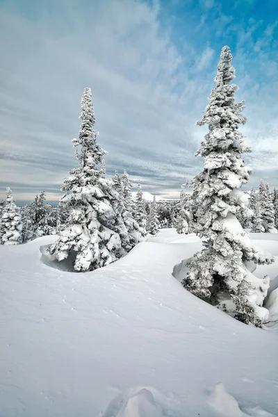 Ski resort sheregesh, kemerovo bölgesi, Rusya Federasyonu. — Stok fotoğraf