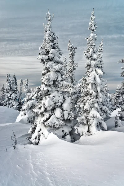 Ski resort sheregesh, kemerovo bölgesi, Rusya Federasyonu. — Stok fotoğraf