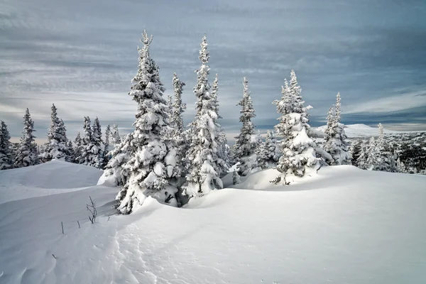 Ski resort Sheregesh, Kemerovo region, Russia. — Stock Photo, Image