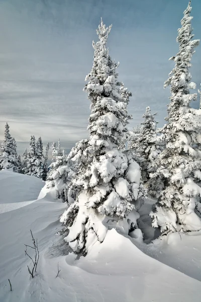 Skigebiet scheregesch, kemerowo region, russland. — Stockfoto