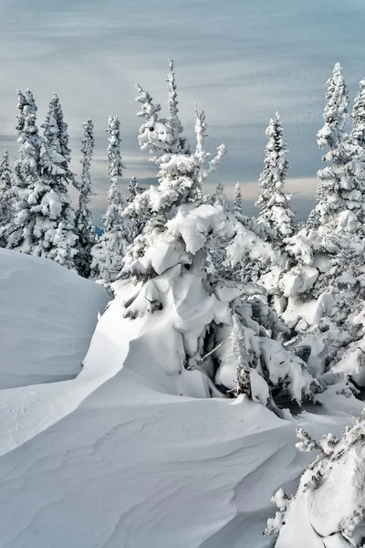 Ski resort sheregesh, kemerovo region, Ryssland. — Stockfoto