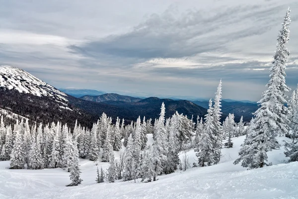 Ski resort sheregesh, kemerovo bölgesi, Rusya Federasyonu.