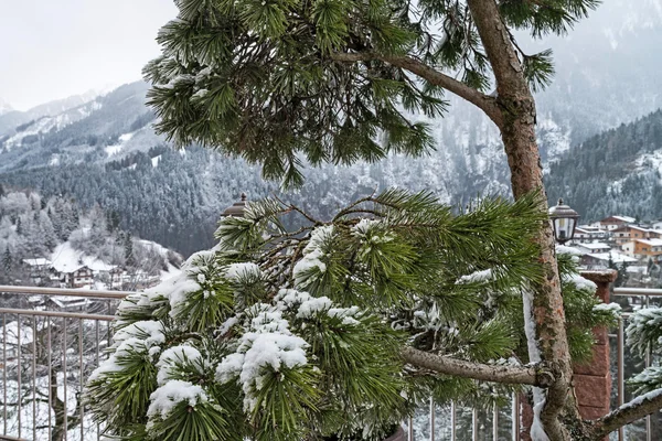 滑雪胜地齐勒河谷-Tirol，奥地利. — 图库照片