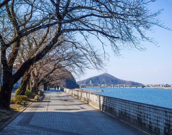 Japonya 'nın Inuyama kentindeki Kiso Nehri' nin gölgeli yaya yolu ve güzel doğal manzarası