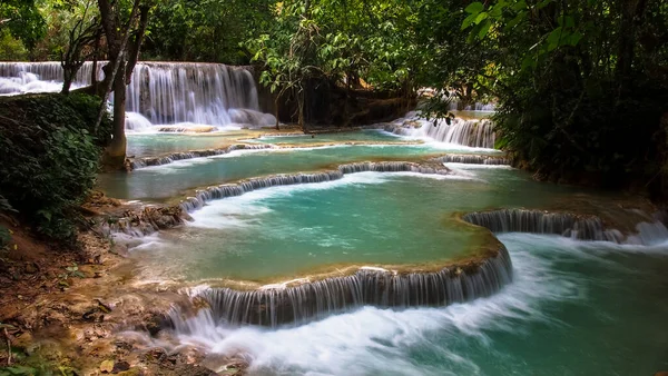 Bereketli ormandaki güzel, berrak, yeşil şelale Luang Prabang, Laos 'taki güzel bir derede kayaların arasından akar..