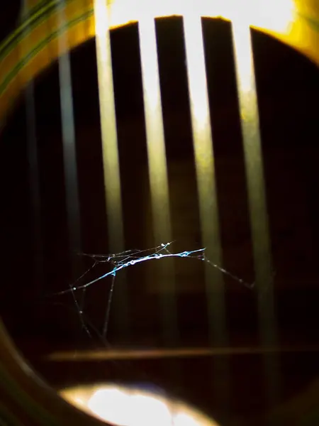 Odak noktası örümcek ağları. Akustik bir gitarın vücudunda, gitar tellerinden süzülen ışıkla gerçekleşir. Eskiyi temsil eder.