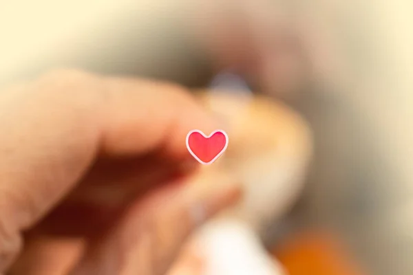 Pembe bir pipetten yapılmış kalp şeklinde. Elde tutulur ve aşk kavramı için beyaz bir ışığı vardır..