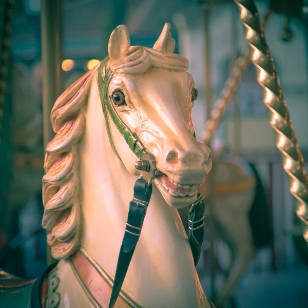 Chef för häst i en merry go round instagram utseende — Stockfoto