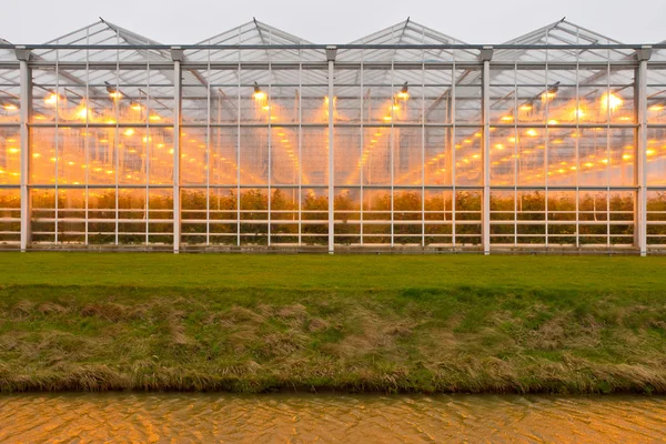 Buitenkant van commerciële glasshouse — Stockfoto