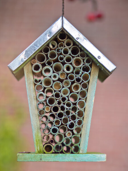 Close up insect house