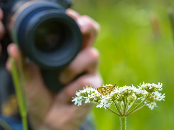 Macro Fotógrafo em ação — Fotografia de Stock